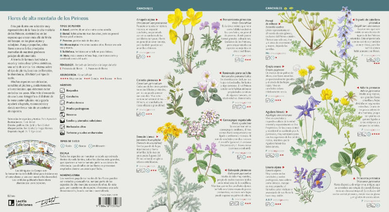 105 FLORES DE ALTA MONTAÑA DE LOS PIRINEOS QUE HAY QUE CONOCER. MINIGUÍA DE CAMPO 2