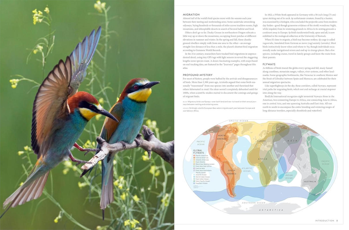 NATIONAL GEOGRAPHIC BIRDER'S ATLAS OF THE WORLD 2
