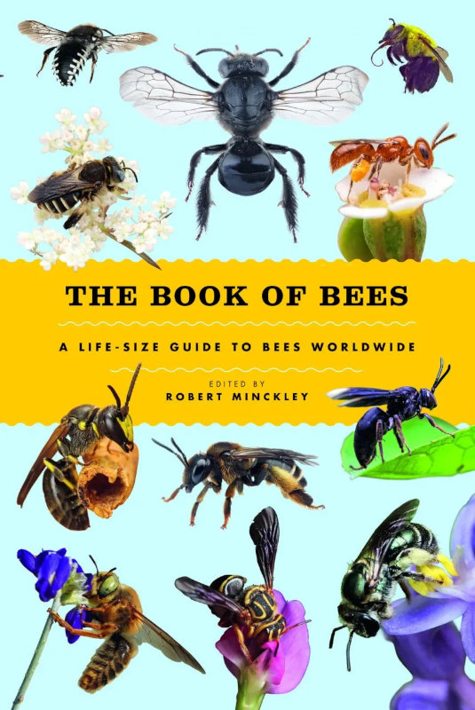 THE BOOK OF BEES. A LIFE-SIZE GUIDE TO BEES WORLDWIDE 1