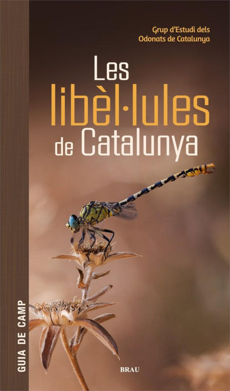 LES LIBÈL·LULES DE CATALUNYA 1