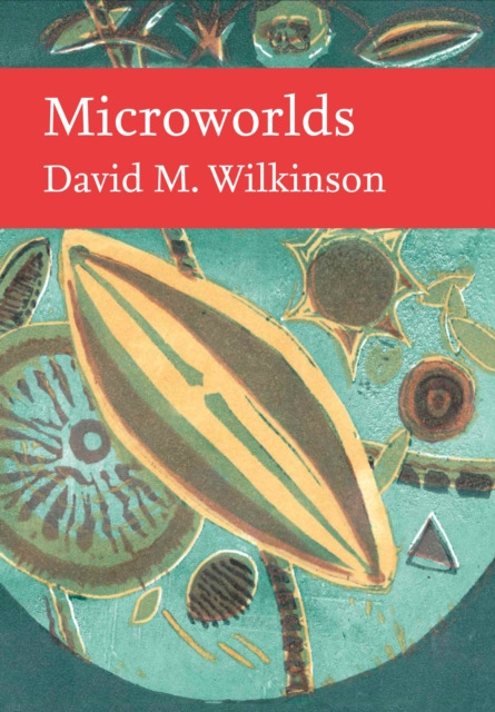 MIRCOWORLDS 1