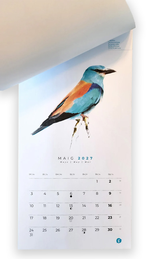 CALENDARI D'OCELLS NATURA IL·LUSTRADA 2027 3