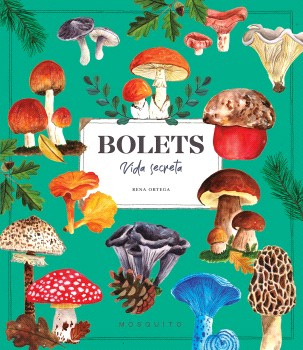 BOLETS VIDA SECRETA 1