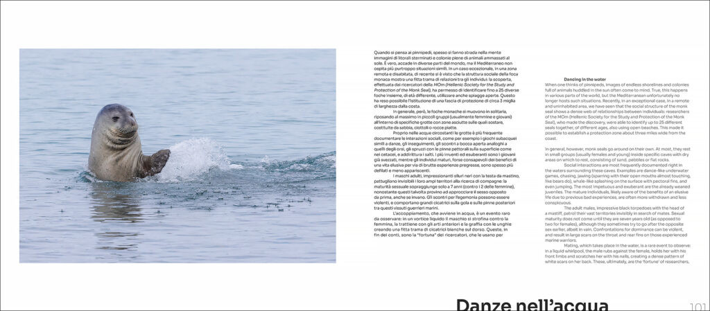 OUT OF THE BLUE. LA FOCA MONACA NEL MEDITERRANEO 3
