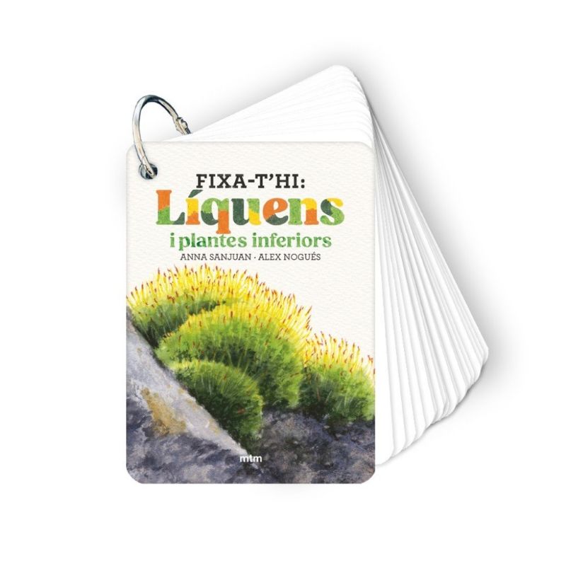FIXA-T'HI: LÍQUENS I PLANTES INFERIORS 1