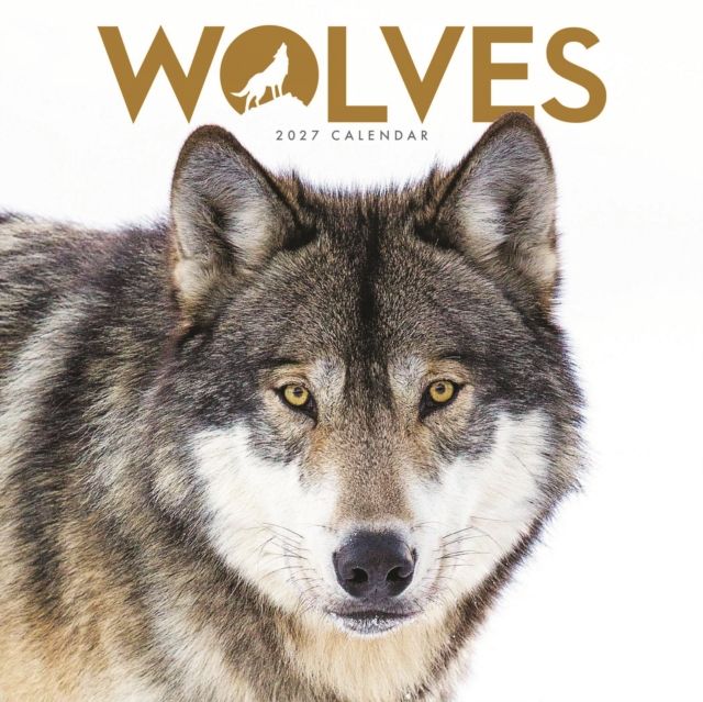 WOLVES SQUARE MINI CALENDAR 2027 1