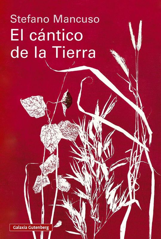 EL CÁNTICO DE LA TIERRA 1