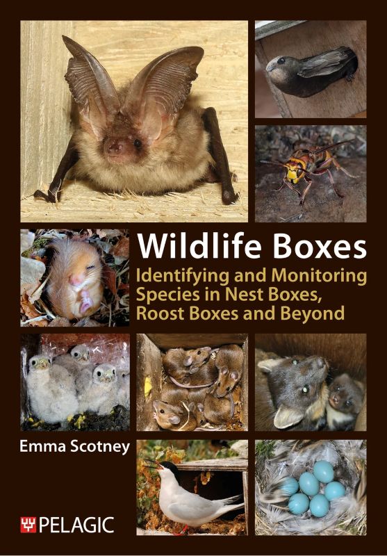 WILDLIFE BOXES. IDENTIFYING AND MONITORING SPECIES IN NEST BOXES, ROOST BOXES AND BEYOND 1