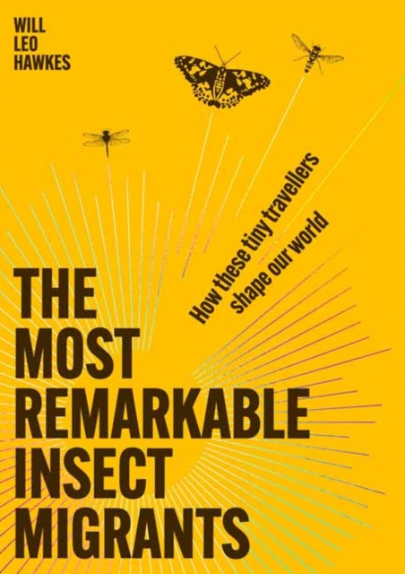 THE MOST REMARKABLE INSECT MIGRANTS: HOW THESE TINY TRAVELLERS SHAPE OUR WORLD 1