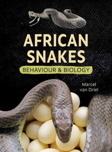 AFRICAN SNAKES. BEHAVIOUR &AMP; BIOLOGY 1