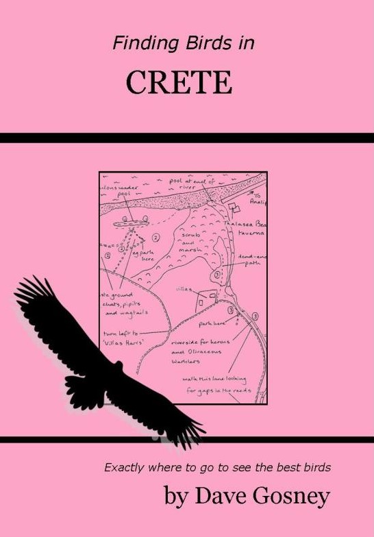FINDING BIRDS IN CRETE 1