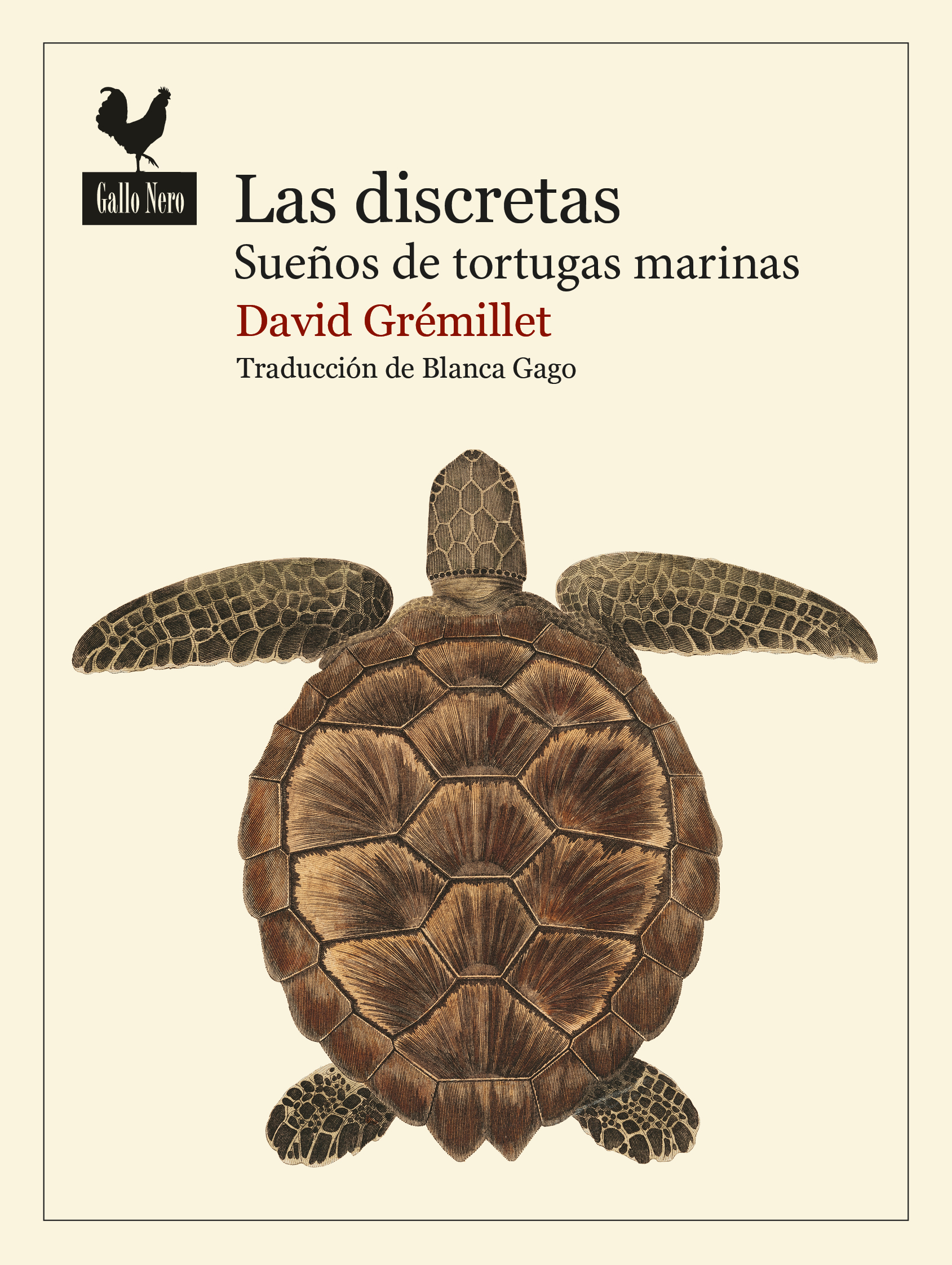 LAS DISCRETAS. SUEÑOS DE TORTUGAS MARINAS 1