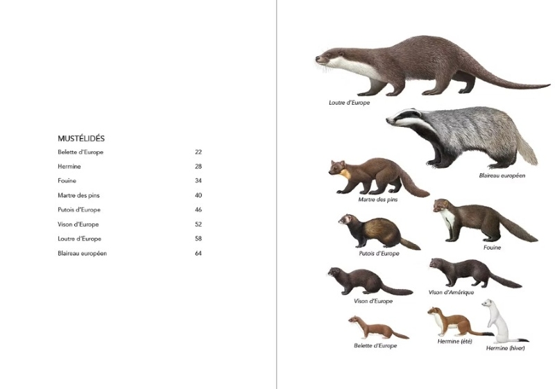 CARNIVORES PYRÉNÉENS 2