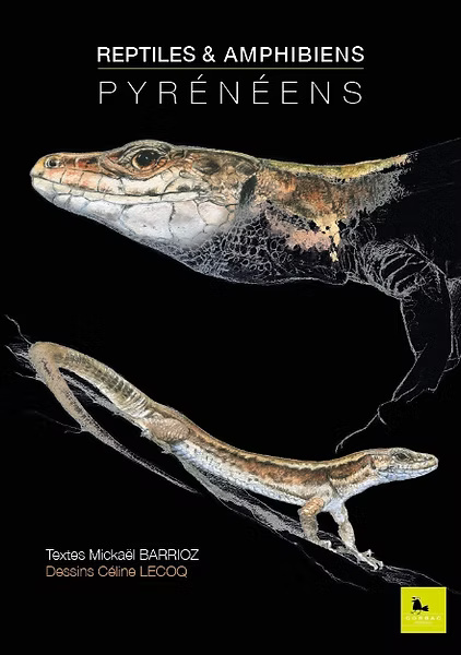 REPTILES ET AMPHIBIENS PYRÉNÉENS 1