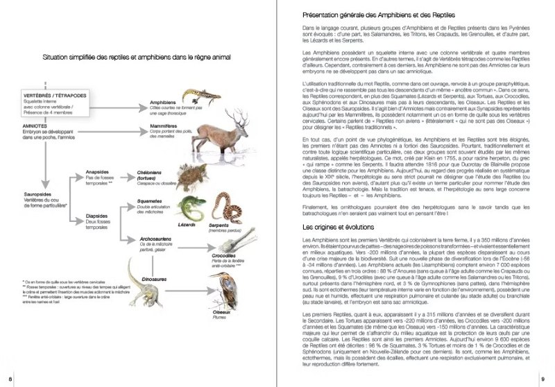 REPTILES ET AMPHIBIENS PYRÉNÉENS 3