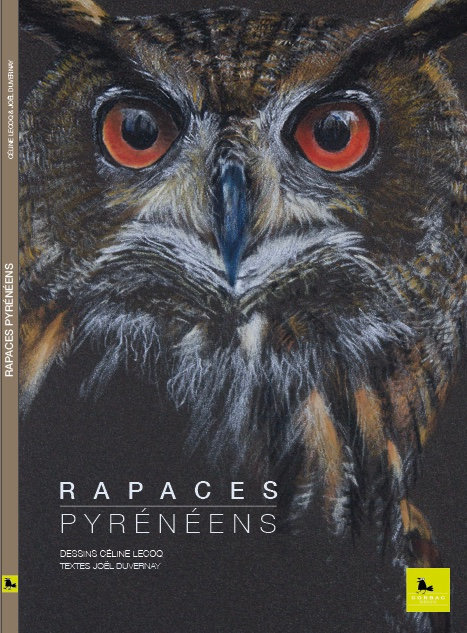 RAPACES PYRÉNEENS 1