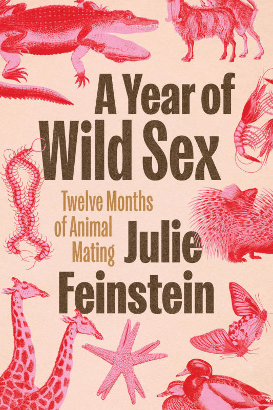 A YEAR OF WILD SEX. TWELVE MONTHS OF ANIMAL MATING 1