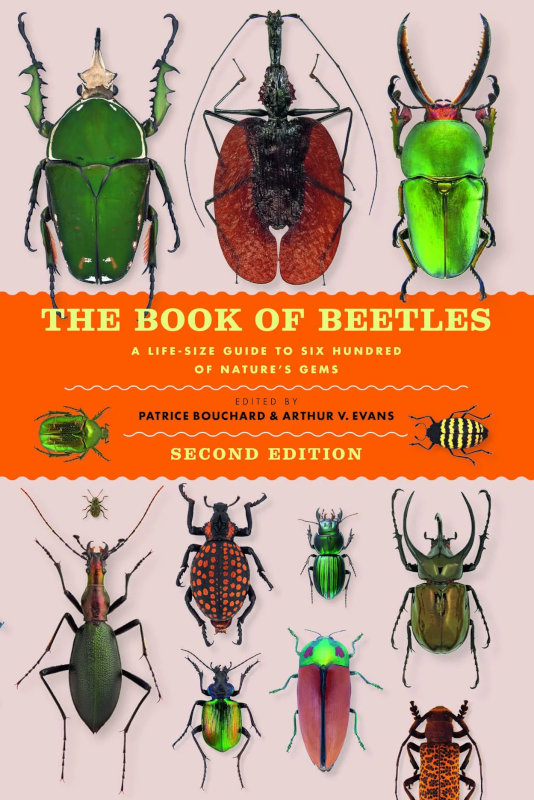 THE BOOK OF BEETLES A LIFE-SIZE GUIDE TO SIX HUNDRED OF NATURE'S GEMS 1