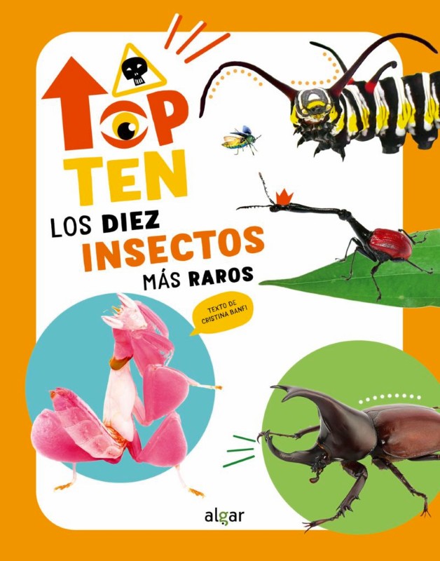 TOP TEN. LOS DIEZ INSECTOS MÁS RAROS 2