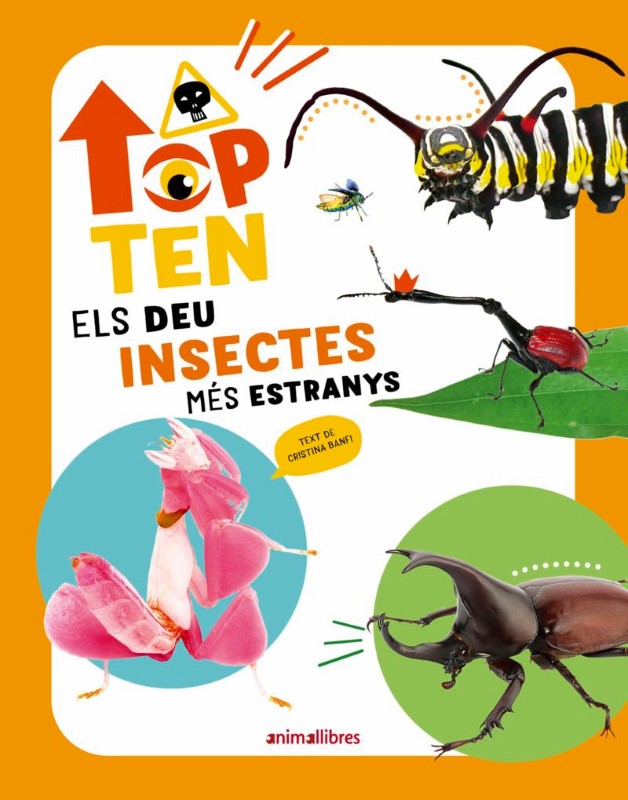 TOP TEN. ELS DEU INSECTES MÉS ESTRANYS 1