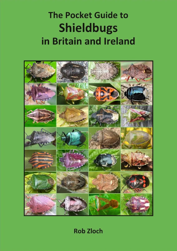 THE POCKET GUIDE TO SHIELDBUGS IN BRITAIN AND IRELAND 1