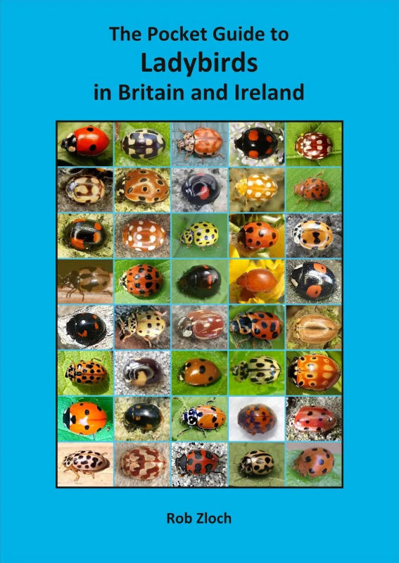 THE POCKET GUIDE TO LADYBIRDS IN BRITAIN AND IRELAND 1