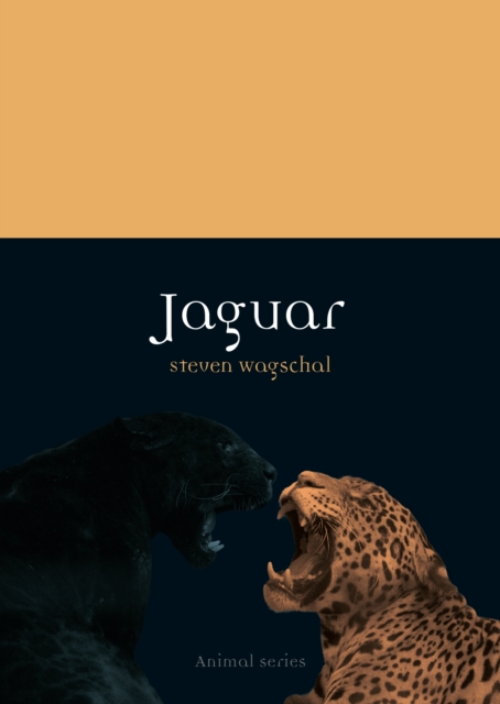 JAGUAR 1