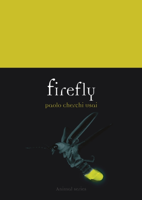 FIREFLY 1