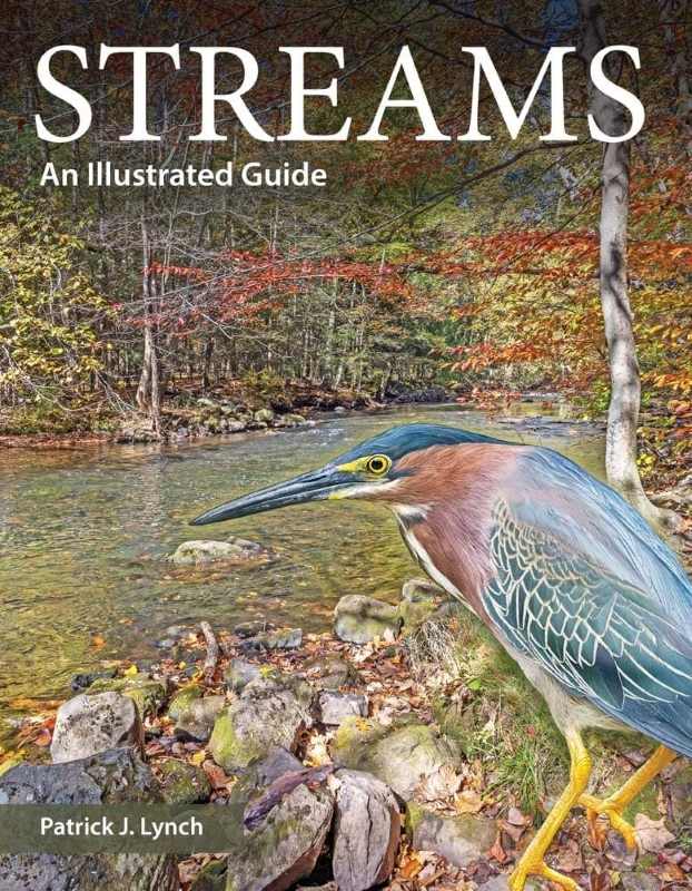 STREAMS. AN ILLUSTRATED GUIDE 1