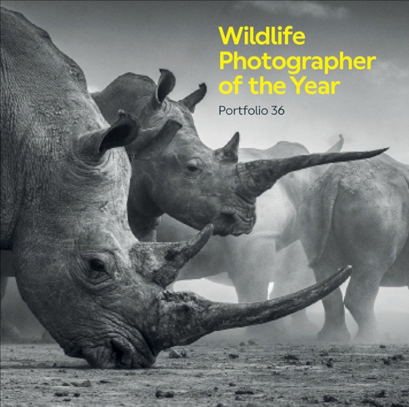 WILDLIFE PHOTOGRAPHER OF THE YEAR, PORTFOLIO 36 1