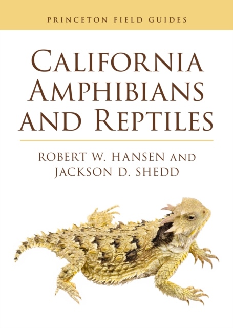 CALIFORNIA AMPHIBIANS AND REPTILES 1