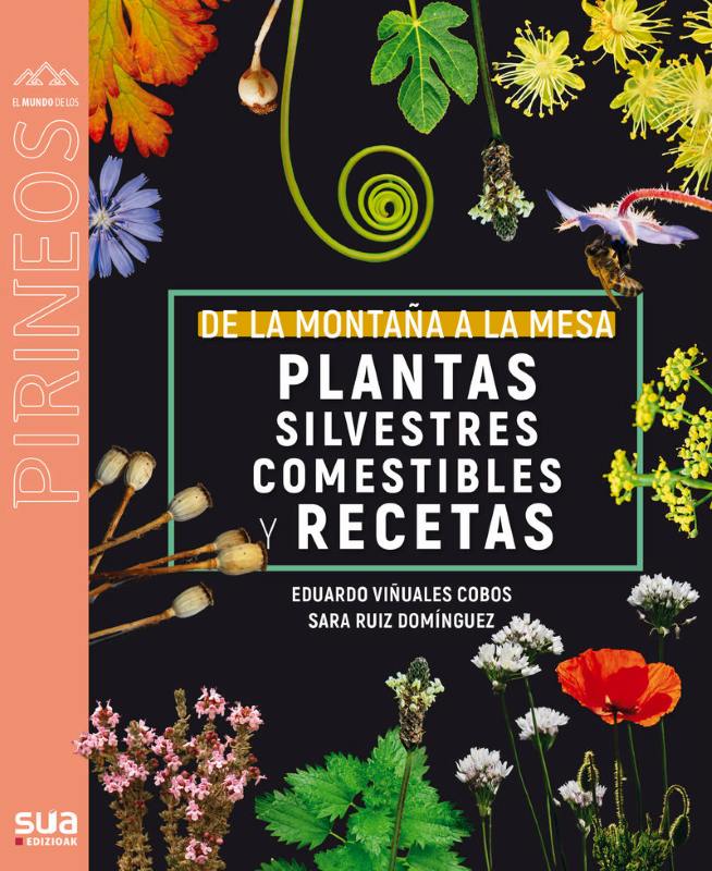 DE LA MONTAÑA A LA MESA. PLANTAS SILVESTRES COMESTIBLES Y RECETAS 1