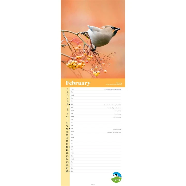 RSPB SLIM BIRD CALENDAR 2027 2