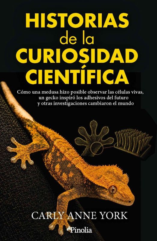 HISTORIAS DE LA CURIOSIDAD CIENTÍFICA. CÓMO UNA MEDUSA HIZO POSIBLE OBSERVAR LAS CÉLULAS VIVAS, UN GECKO INSPIRÓ LOS ADHESIVOS DEL FUTURO Y OTRAS INVE 1