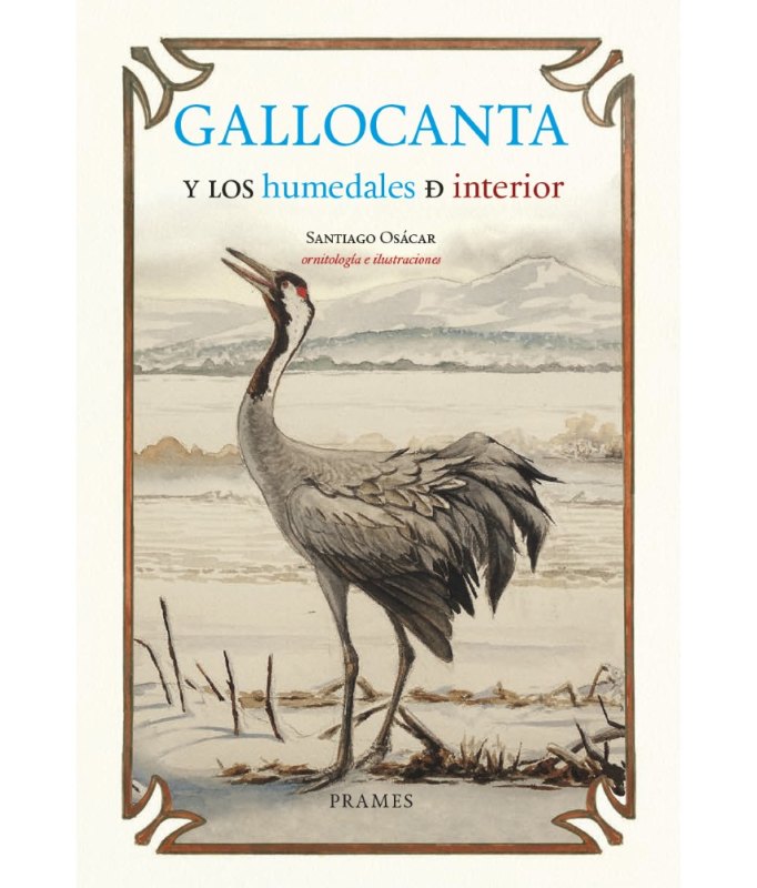 GALLOCANTA Y LOS HUMEDALES DE INTERIOR 1