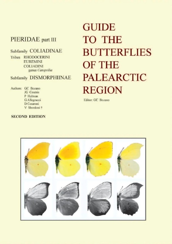 GUIDE TO THE BUTTERFLIES OF THE PALEARCTIC REGION. PIERIDAE PART 3 1
