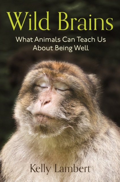 WILD BRAINS. WHAT ANIMALS CAN TEACH US ABOUT BEING WELL 1