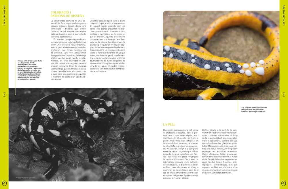 ORYX, LA REVISTA DE L'AMANT DE LA NATURA. NÚMERO 03. VERSIÓ IMPRESA EN CATALÀ. 3