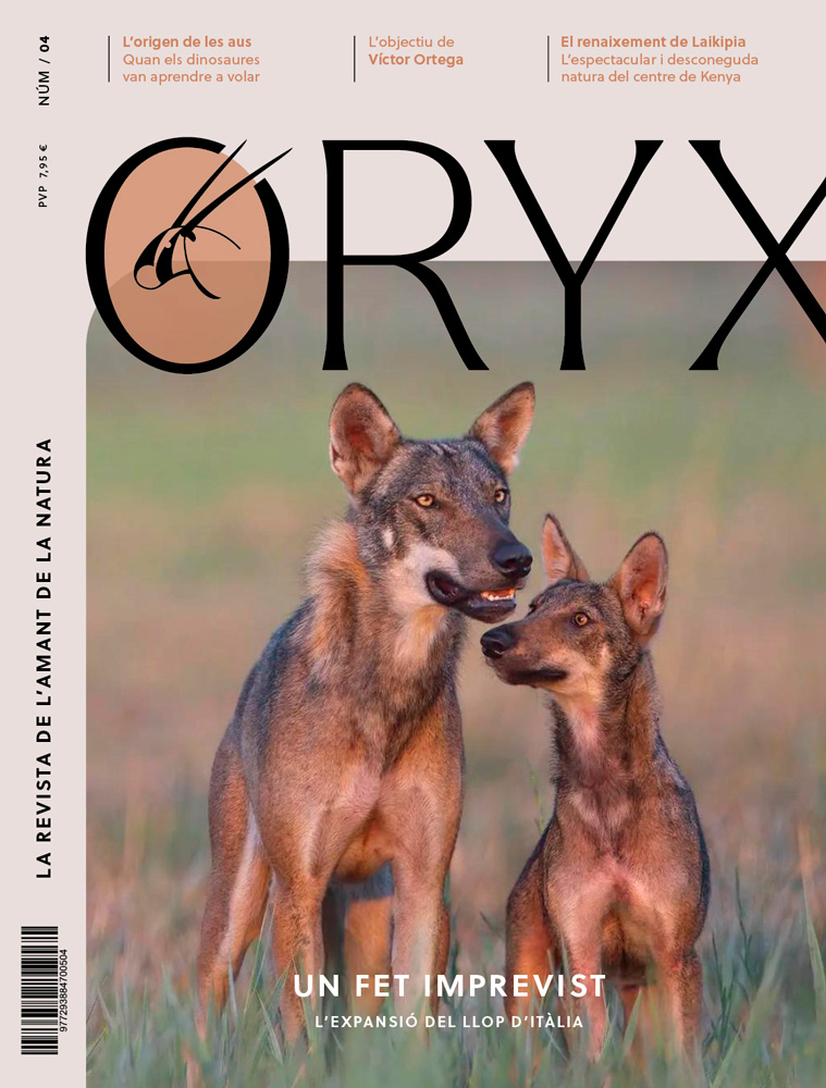 ORYX, LA REVISTA DE L'AMANT DE LA NATURA. NÚMERO 04. VERSIÓ IMPRESA EN CATALÀ. 1