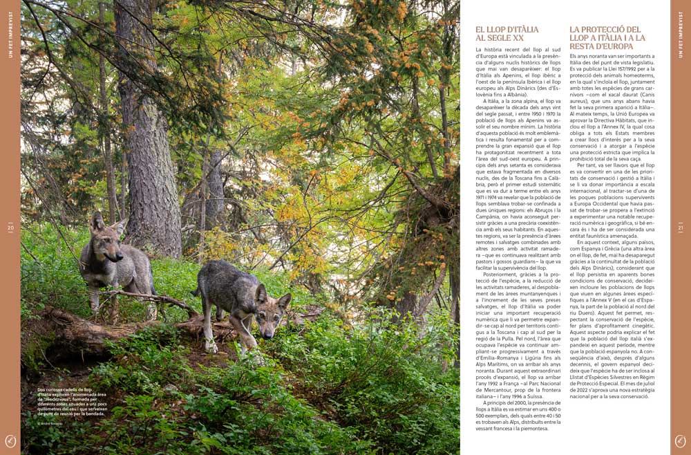 ORYX, LA REVISTA DE L'AMANT DE LA NATURA. NÚMERO 04. VERSIÓ IMPRESA EN CATALÀ. 3