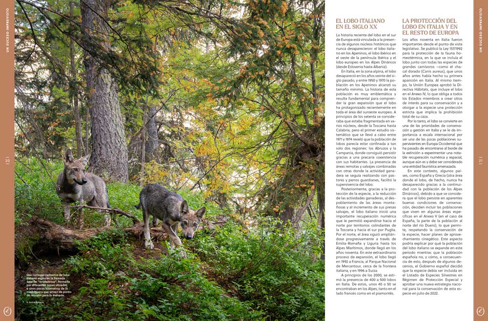 ORYX, LA REVISTA DEL AMANTE DE LA NATURALEZA. NÚMERO 04. VERSIÓN IMPRESA EN CASTELLANO. 3