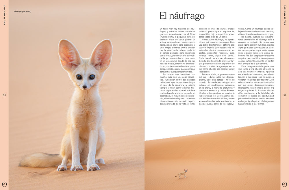 ORYX, LA REVISTA DEL AMANTE DE LA NATURALEZA. NÚMERO 07. VERSIÓN IMPRESA EN CASTELLANO. 4