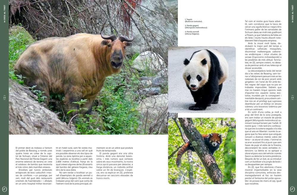 ORYX, LA REVISTA DE L'AMANT DE LA NATURA. NÚMERO 08. VERSIÓ IMPRESA EN CATALÀ. 4