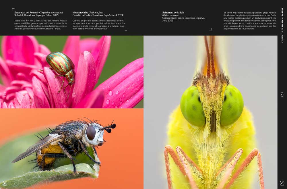 ORYX, LA REVISTA DE L'AMANT DE LA NATURA. NÚMERO 08. VERSIÓ IMPRESA EN CATALÀ. 6