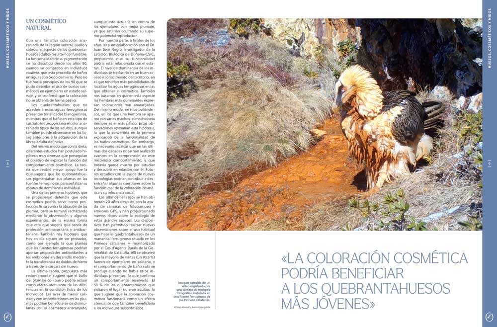 ORYX, LA REVISTA DEL AMANTE DE LA NATURALEZA. NÚMERO 08. VERSIÓN IMPRESA EN CASTELLANO. 3