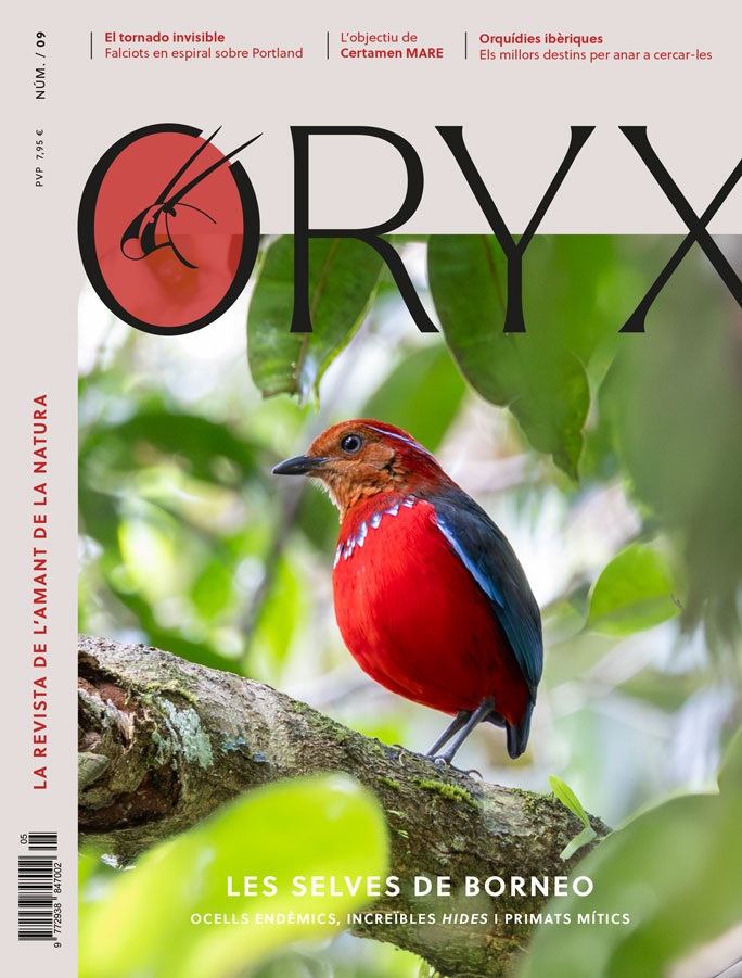 ORYX, LA REVISTA DE L'AMANT DE LA NATURA. NÚMERO 09. VERSIÓ IMPRESA EN CATALÀ. 1