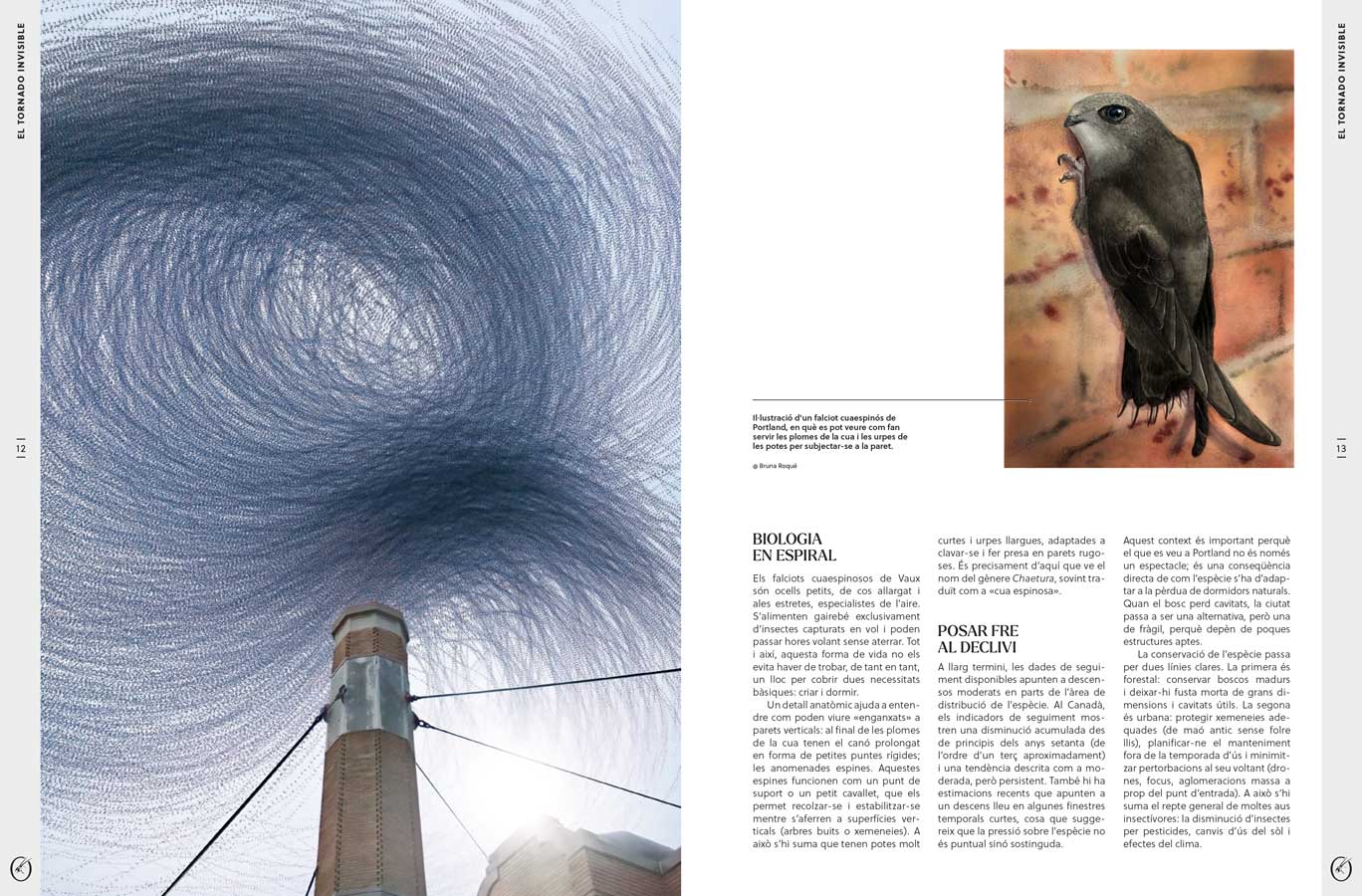 ORYX, LA REVISTA DE L'AMANT DE LA NATURA. NÚMERO 09. VERSIÓ IMPRESA EN CATALÀ. 3