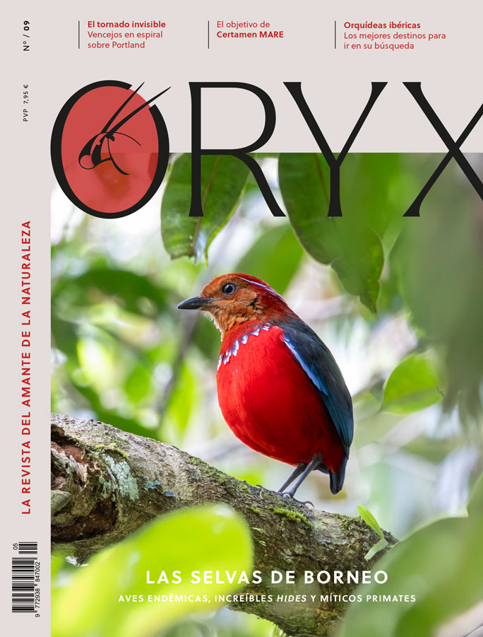 ORYX, LA REVISTA DEL AMANTE DE LA NATURALEZA. NÚMERO 09. VERSIÓN IMPRESA EN CASTELLANO. 1