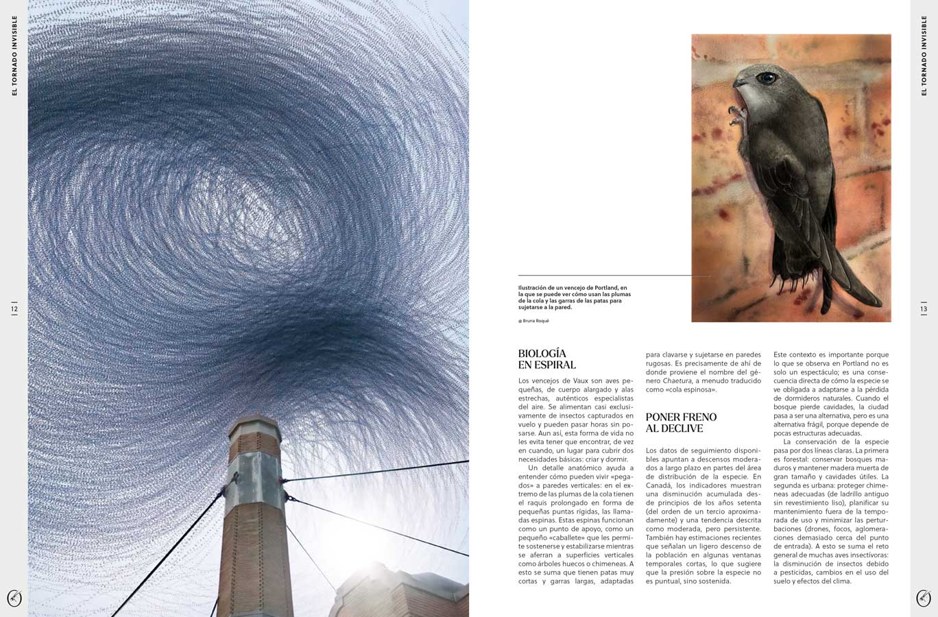 ORYX, LA REVISTA DEL AMANTE DE LA NATURALEZA. NÚMERO 09. VERSIÓN IMPRESA EN CASTELLANO. 3