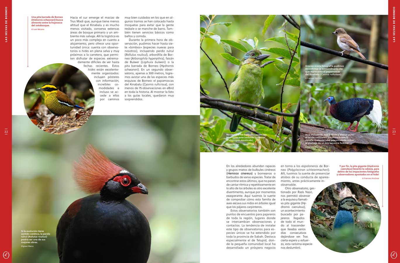 ORYX, LA REVISTA DEL AMANTE DE LA NATURALEZA. NÚMERO 09. VERSIÓN IMPRESA EN CASTELLANO. 4
